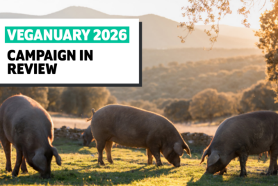 Veganuary 2026 Campaign Review - Blog Header