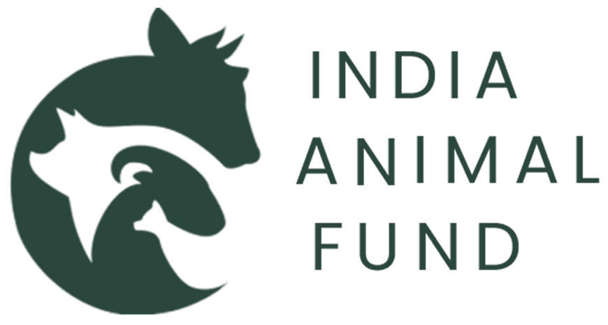 India Animal Fund