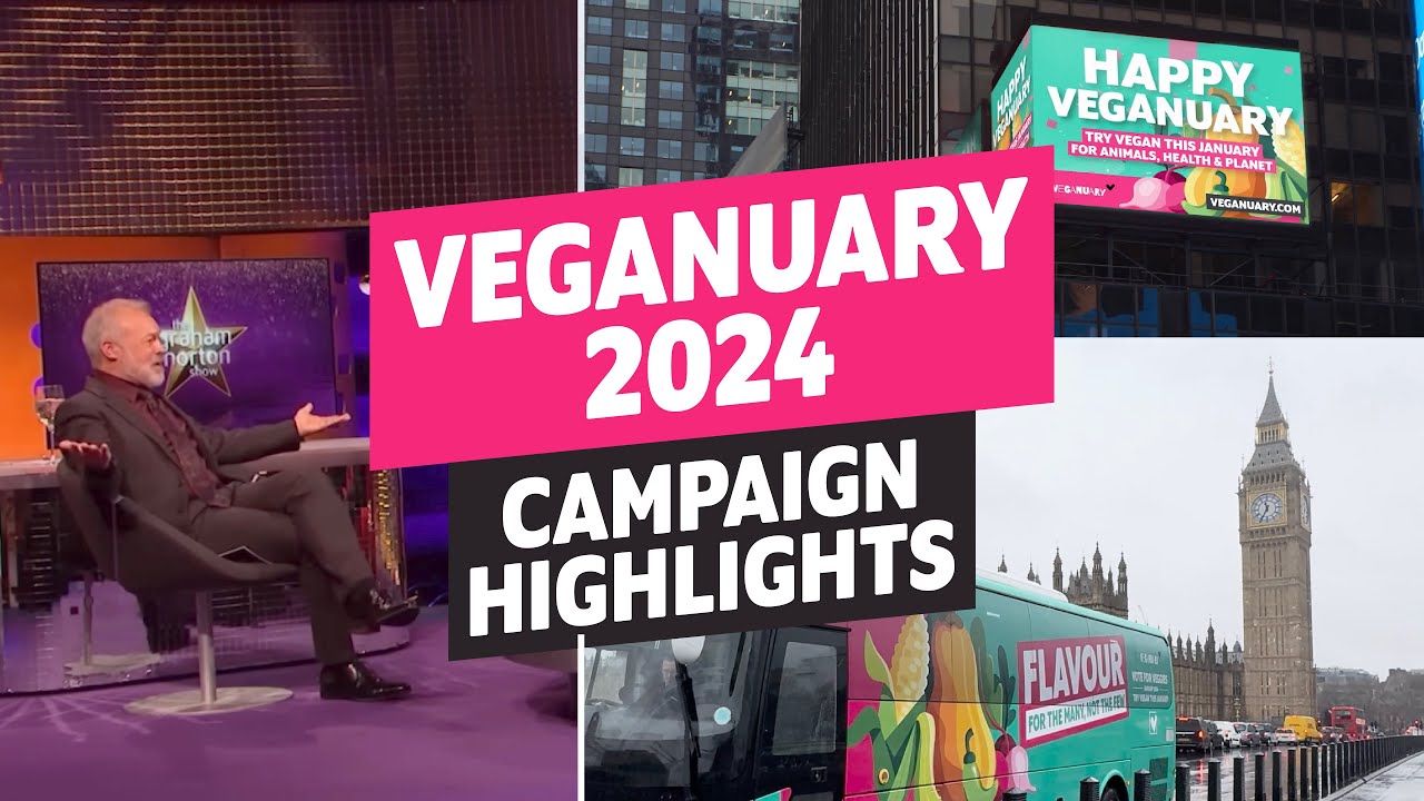 Veganuary 2024 Campaign Highlights 🎉