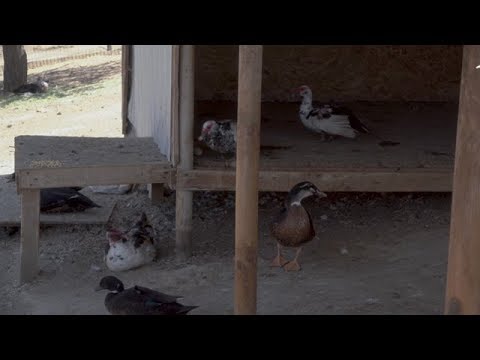 La gran labor que realiza Santuario Clafira | Factor de Cambio